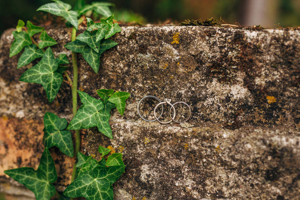 Обручальные кольца на камнях в траве
 - Фото, изображение