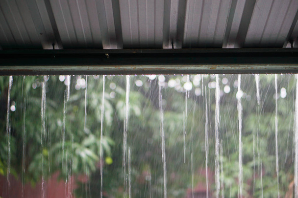 Regen fällt schnell vom Zinkdach - Foto, Bild