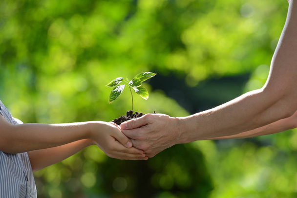 Δύο χέρια που κρατούν μαζί ένα πράσινο νεαρό φυτό - Φωτογραφία, εικόνα