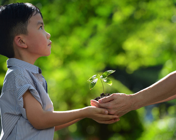 Dos manos sosteniendo unida una planta joven verde
 - Foto, Imagen