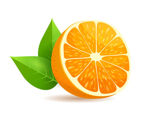 Sliced in Half Orange with Leaves Realistic Vector - Vector, Imagen