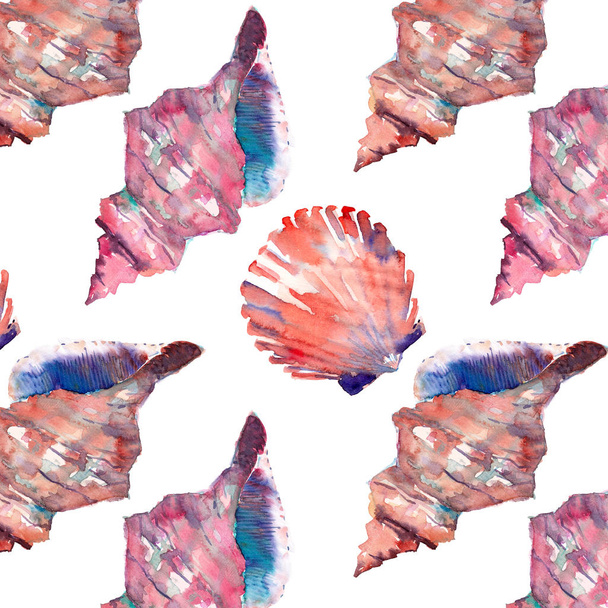 Bright cute graphic lovely beautiful wonderful summer fresh marine beach colorful seashells pattern watercolor hand illustration. Perfect for greeting card, textile design - Photo, Image