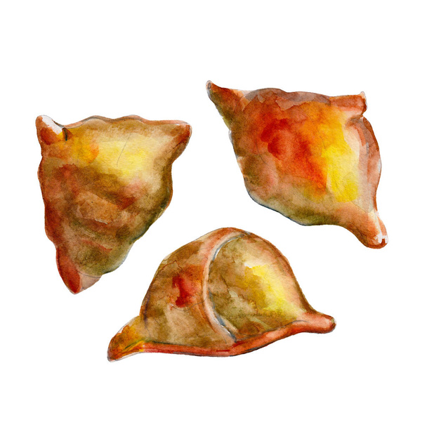 The national Indian bread samosa isolated on white background, watercolor illustration in hand-drawn style. - Foto, Imagen