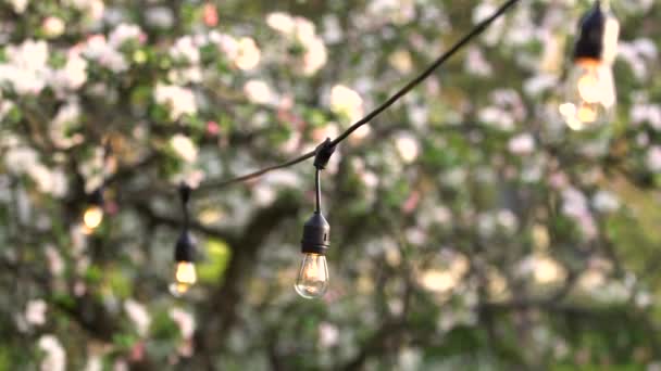 venkovní strana string světla v zahradě - Záběry, video