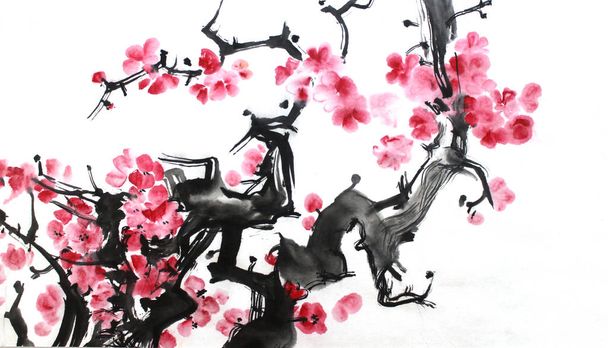 Chinese ink painting of flowers, plum blossom, on white background. - Photo, Image