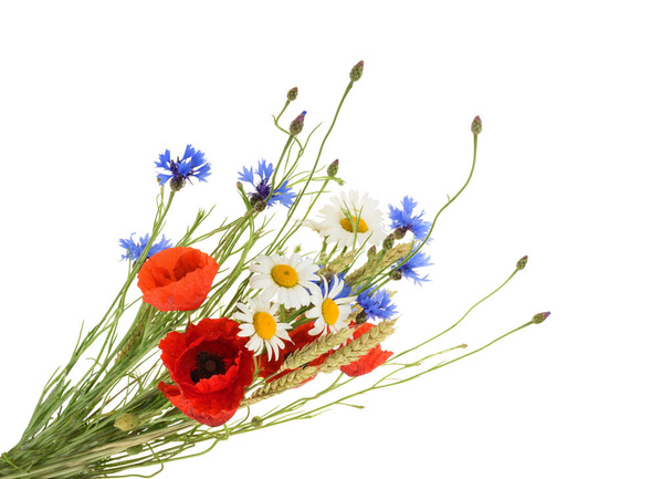 美しい花の花束 - 写真・画像