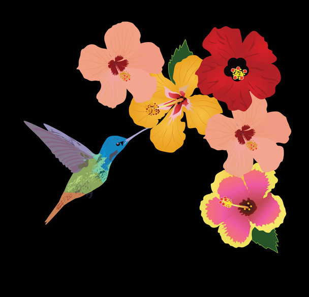 vector floral achtergrond - Vector, afbeelding