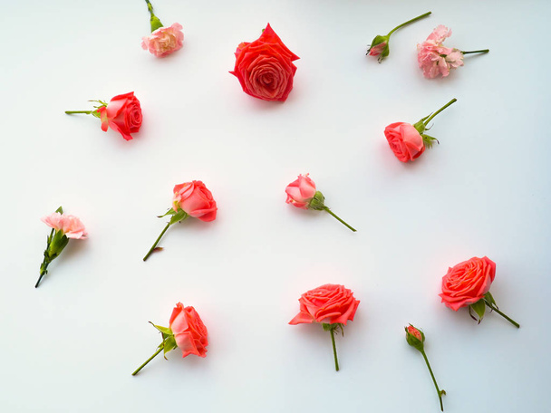 Flowers composition. Frame made of dried rose flowers on white background. Flat lay, top view. - Φωτογραφία, εικόνα