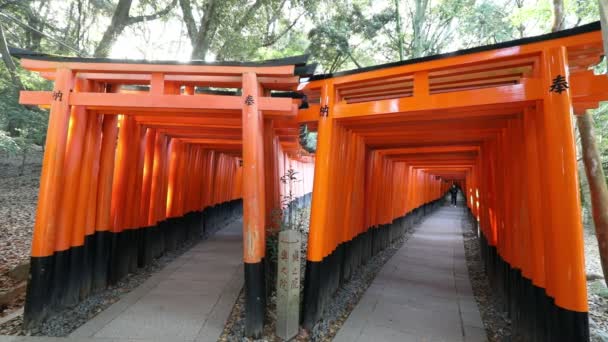 Pokój Dwuosobowy korytarza Fushimi Inari - Materiał filmowy, wideo