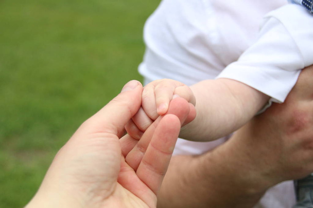 bebé sostiene la mano de sus padres
 - Foto, imagen