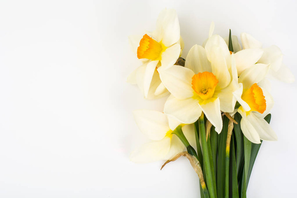 Spring flowers of daffodils on white background - Zdjęcie, obraz