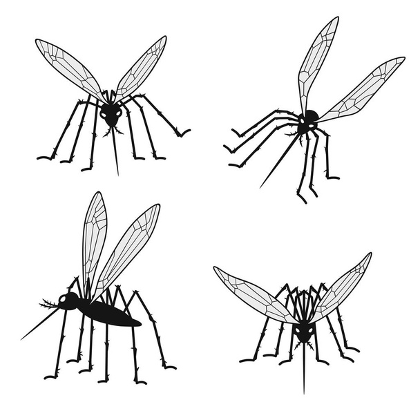 Σύνολο των κουνουπιών σιλουέτες που απομονώνονται σε λευκό φόντο.  - Διάνυσμα, εικόνα