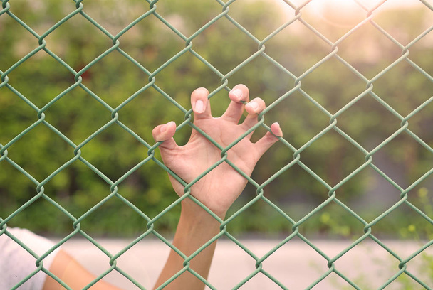 Hands touching a metal fence - Foto, Bild