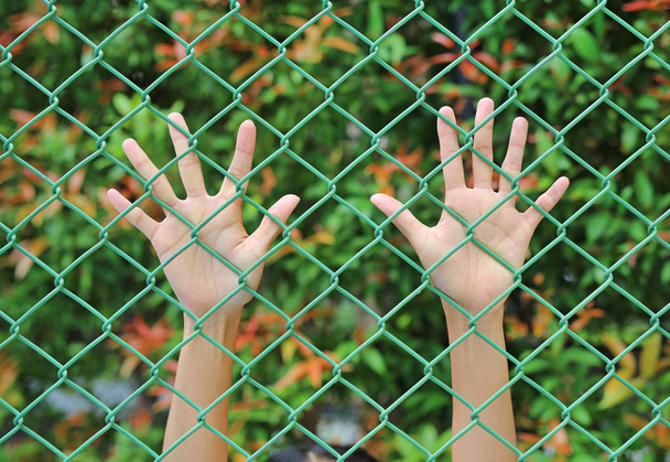 Female Hand touching iron mesh - Foto, Bild