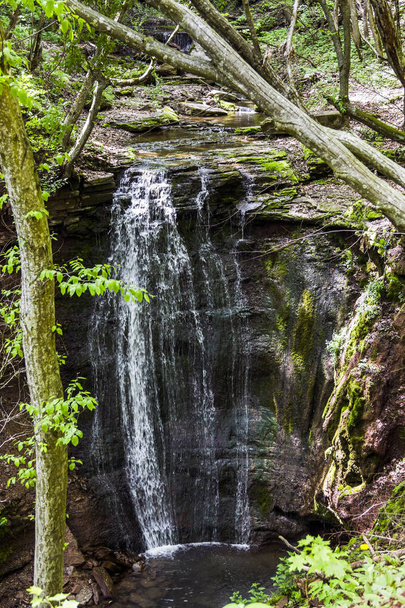cascade falls in forest - Fotoğraf, Görsel