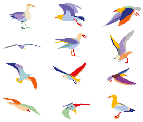 Conjunto de siluetas coloridas de gaviotas
 - Vector, Imagen