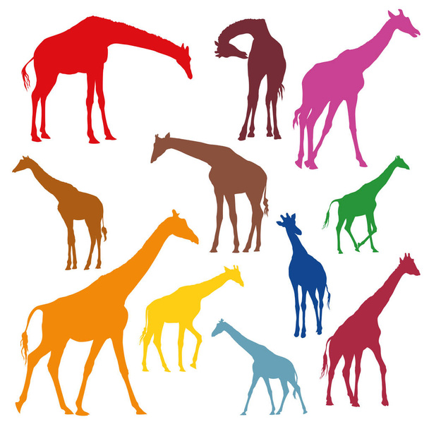 Set of colorful silhouettes of giraffes - Vector, Image