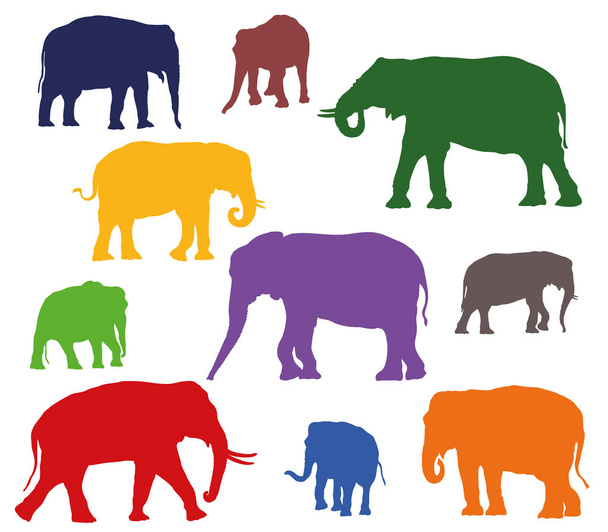 Joukko vektorin värikkäitä norsuja siluetteja
 - Vektori, kuva