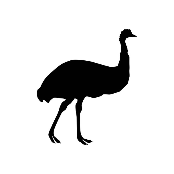Pštros emu silueta - Vektor, obrázek