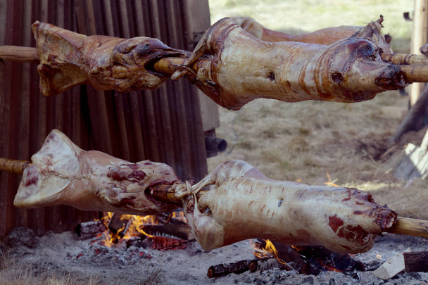 Traditionally suckling pig on a rotating spit with fire and smoke.Roasted pigs on spit over open fire - Photo, Image