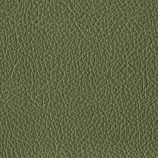 green leather texture as background - Photo, Image