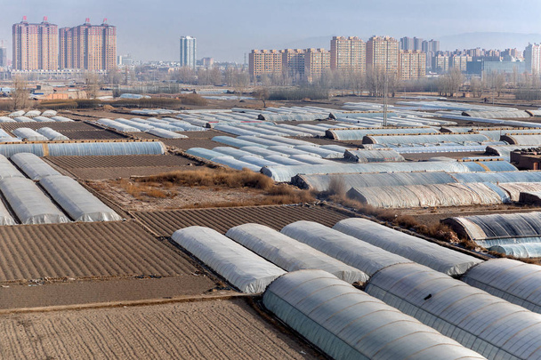 Gewächshäuser auf landwirtschaftlichem Feld außerhalb der Stadt - Foto, Bild