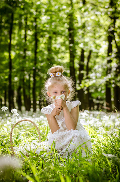 beau petit enfant dans la forêt printanière
 - Photo, image