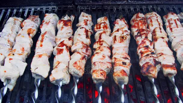 Shish kebab cooking on an outdoor grill - Footage, Video