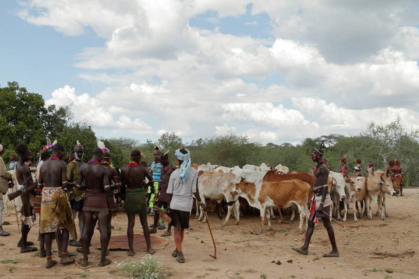 La tribu de Hamar en el Valle del Omo de Etiopía
 - Foto, imagen