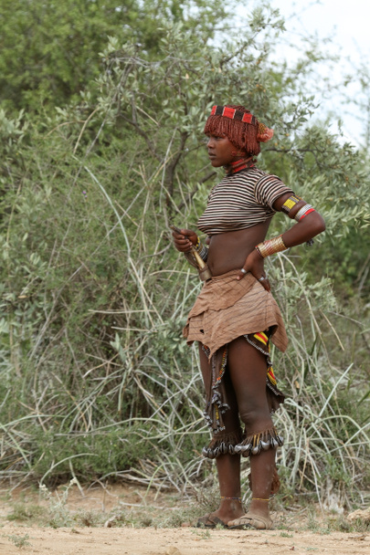 Φυλής Hamar στην κοιλάδα του Omo της Αιθιοπίας - Φωτογραφία, εικόνα