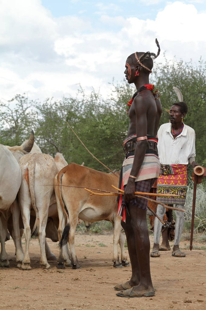 La tribu de Hamar en el Valle del Omo de Etiopía
 - Foto, Imagen