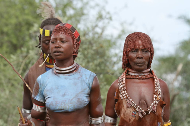La tribu de Hamar dans la vallée de l'Omo en Ethiopie
 - Photo, image