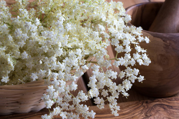 Fleurs blanches de sureau sur un fond en bois
 - Photo, image