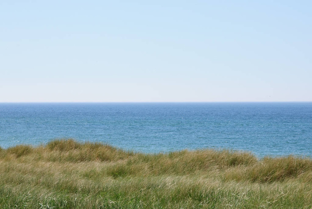 Wybrzeże Morza Północnego z długiej trawy - Zdjęcie, obraz