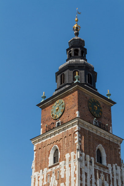 Town hall tower on main square of Krakow - Photo, Image