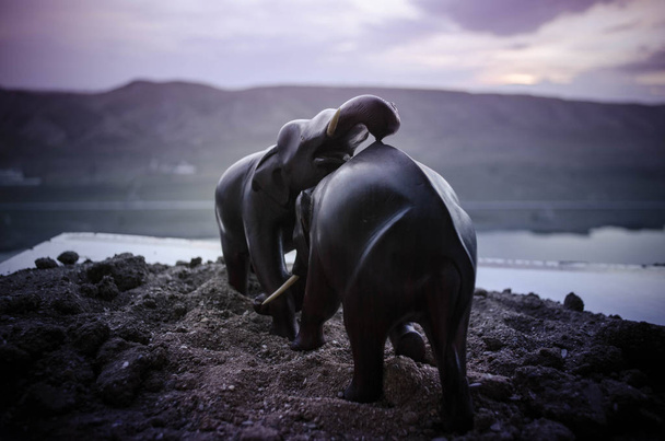 Два слона быка взаимодействуют и общаются во время боя.
. - Фото, изображение
