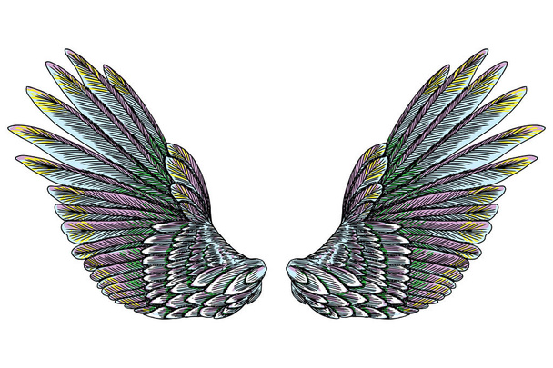 Pair of colorful spread out wings - Vektor, kép