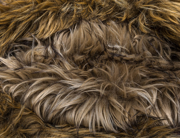 Background of beautiful fox fur - Photo, Image