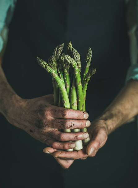 fresh asparagus in dirty hands - Foto, Imagen