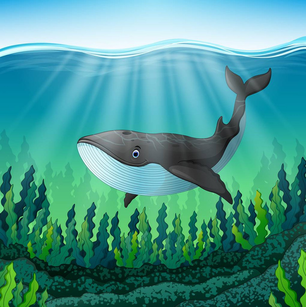 Dessin animé baleine nager dans la mer
 - Vecteur, image