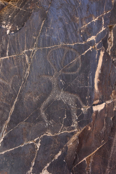Antik kaya çizimler, yuvarlak boynuzlu geyik - Fotoğraf, Görsel
