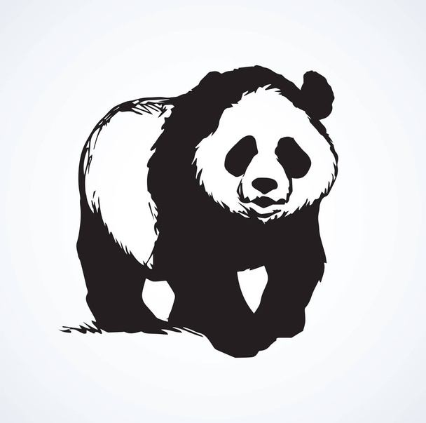 Panda. Dibujo vectorial
 - Vector, imagen