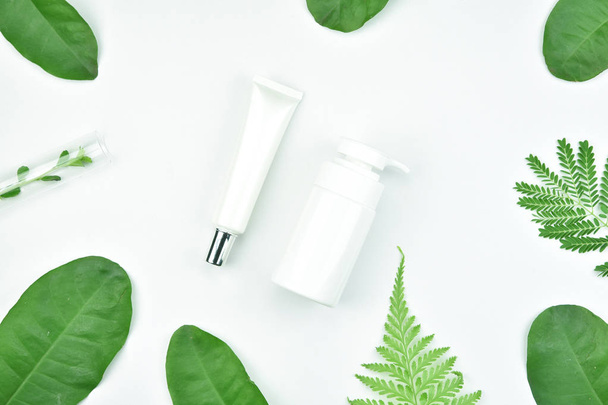Envases de botella cosméticos con hojas de hierbas verdes, paquete de etiqueta en blanco para maqueta de marca
. - Foto, imagen