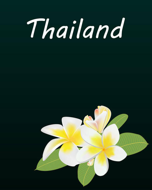 39 Dark green greeting card with the inscription Thailand and a twig of plumeria in the bottom corner, vertical - Vector, Image