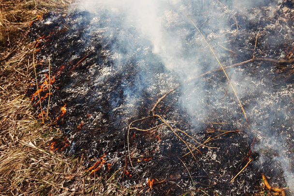 Großbrand im Wald am See. Viel Rauch auf der Straße - Foto, Bild