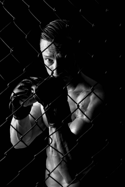 Atleta MMA con guantes
 - Foto, imagen