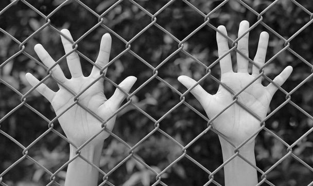Female Hands touching iron mesh, black and white tone - Foto, Bild