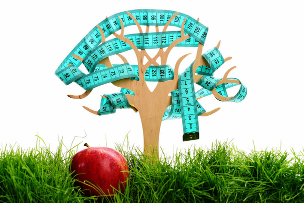 Apple на зеленій траві і дерев'яні декоративні дерева - Фото, зображення