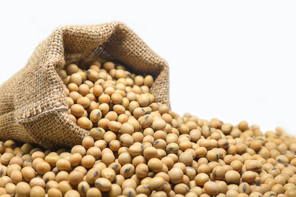 soybeans in hemp sack bag on white background. - Zdjęcie, obraz