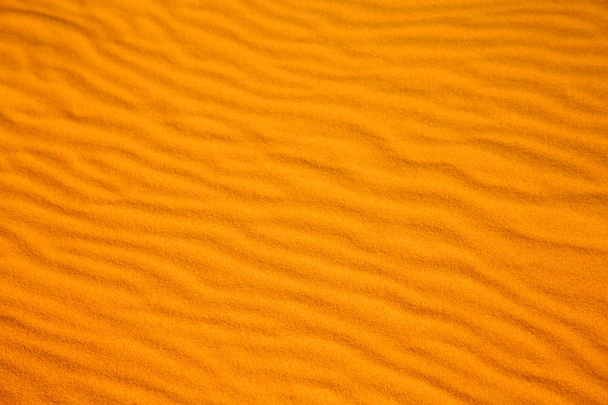 коричнева піщана дюна в пустелі сахарського марокко
  - Фото, зображення